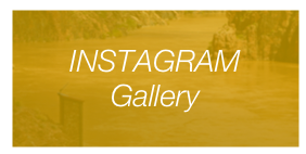 INSTAGRAM Gallery